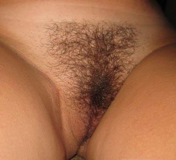 The hairy pussy factor
