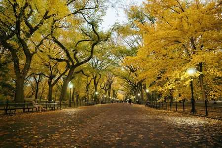 Poets Walk, Central Park, New York
