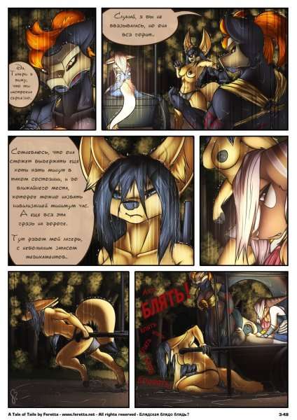 A Tale of Tails.  3.   .
